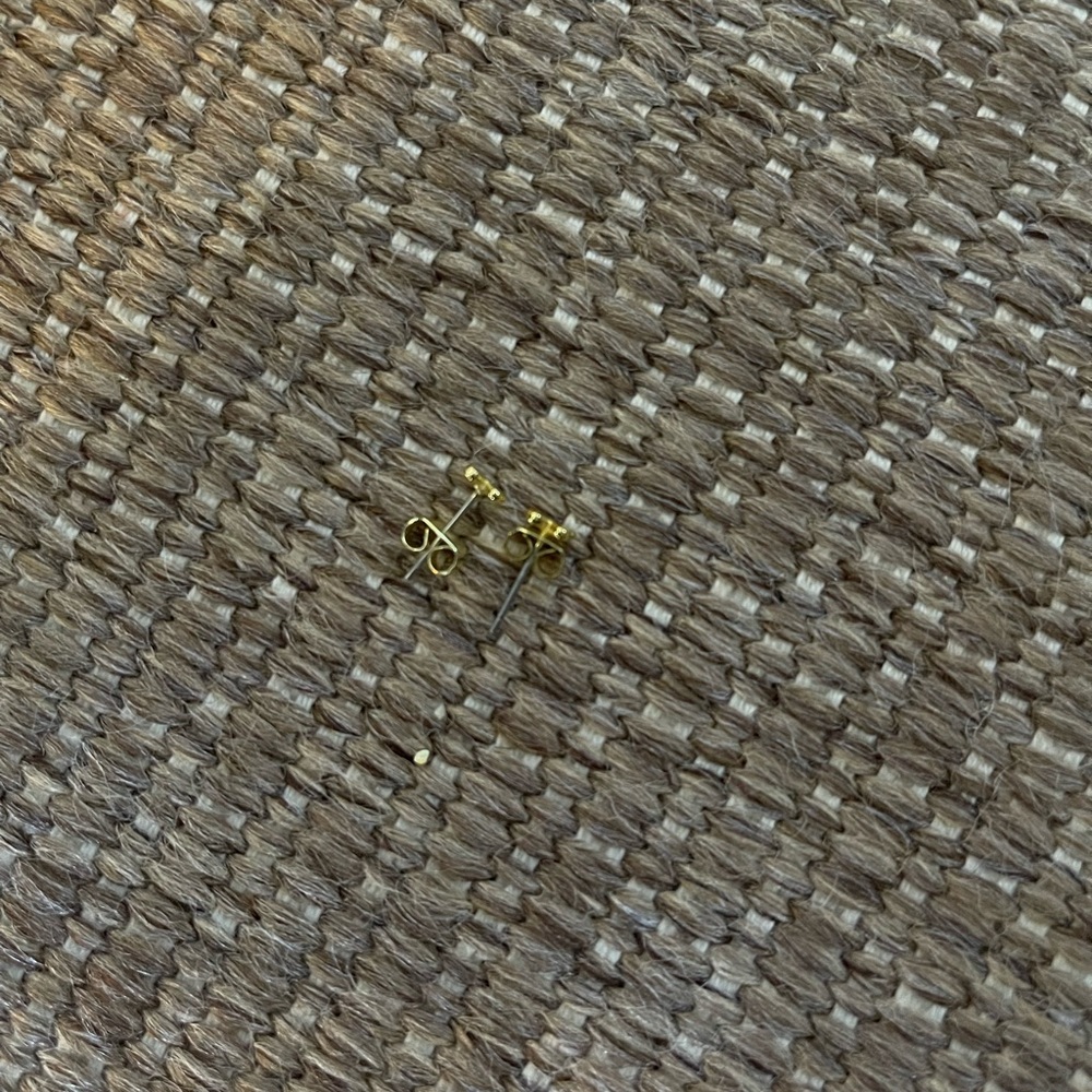 Uncommon James earrings